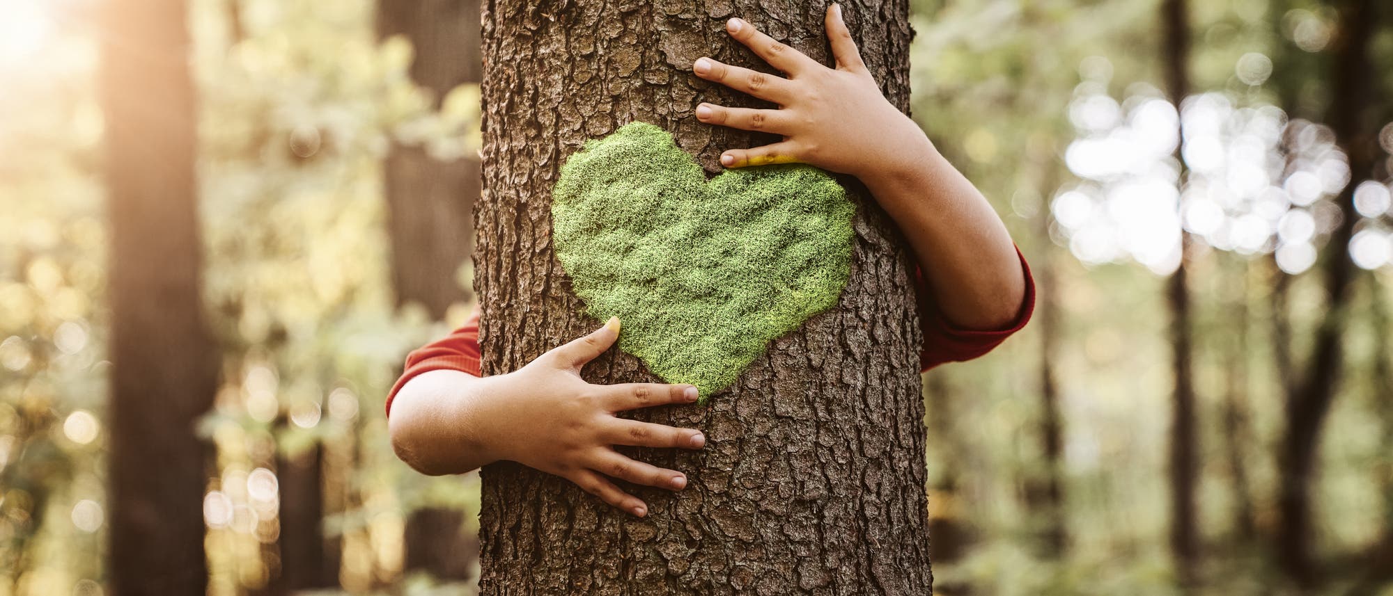 Kind umarmt Baum mit Herz drauf