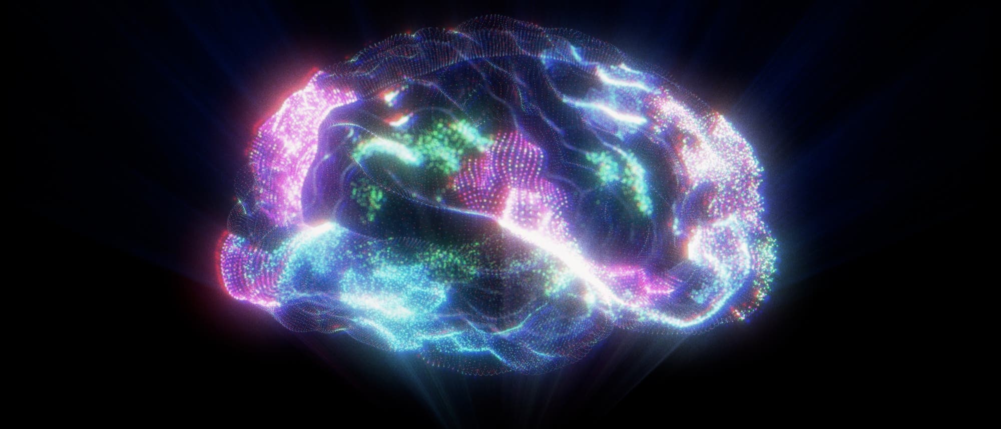 Gehirn Hologramm