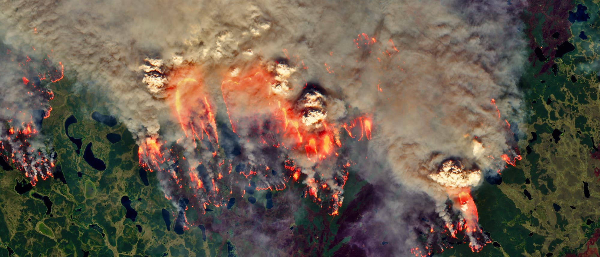 In Sibirien brannten auch in diesem Sommer große Flächen.