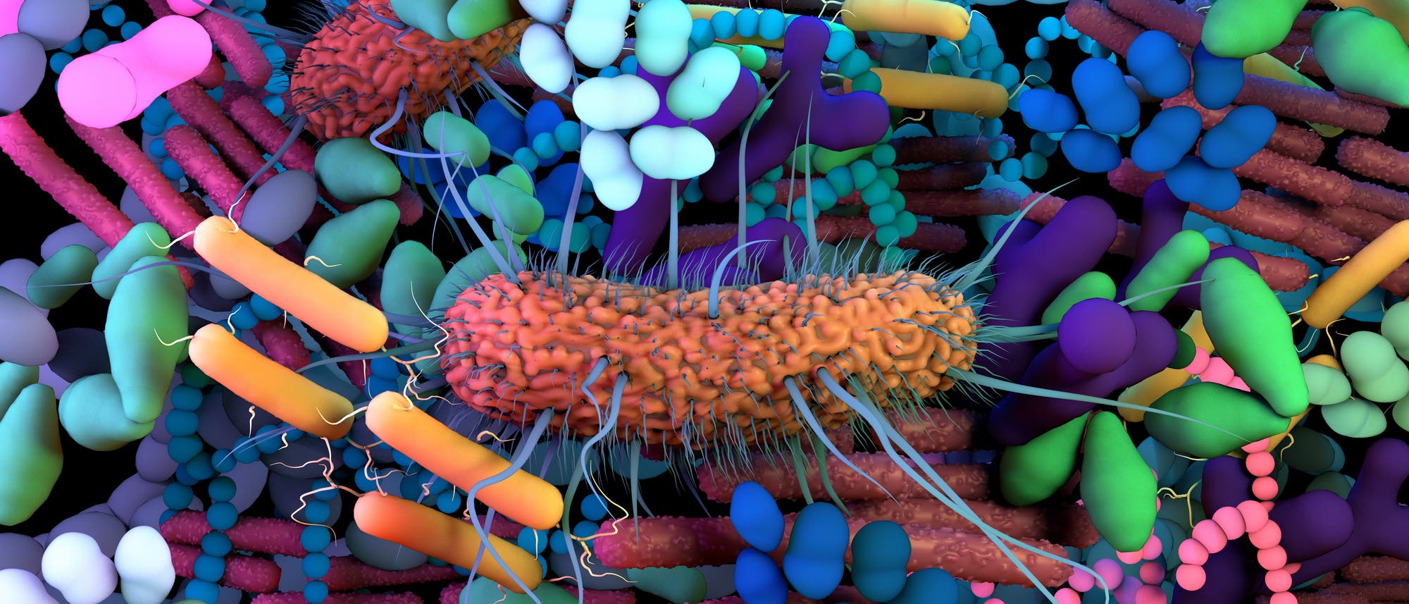 Eine Ansammlung quietschbunter Bakterien in allen Formen und Farben.