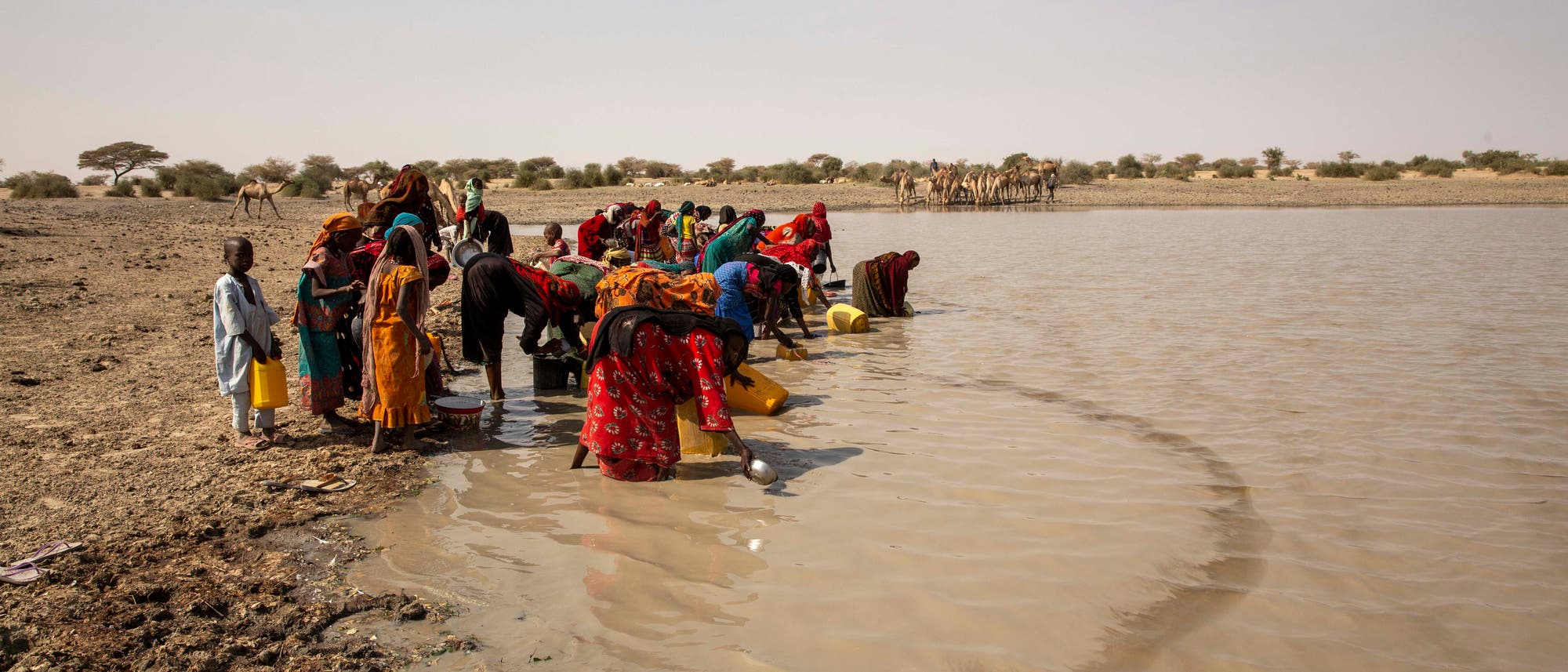 Eine Gruppe von Frauen und Kindern sammelt Wasser aus einem schlammigen Fluss im Tschad