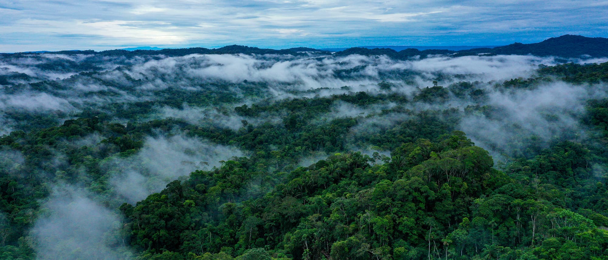 Im undurchdringlichen Regenwald des Amazonasbeckens war das Wrack nicht zu entdecken