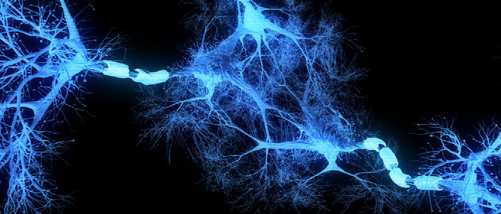 3-D-Nervenzellen