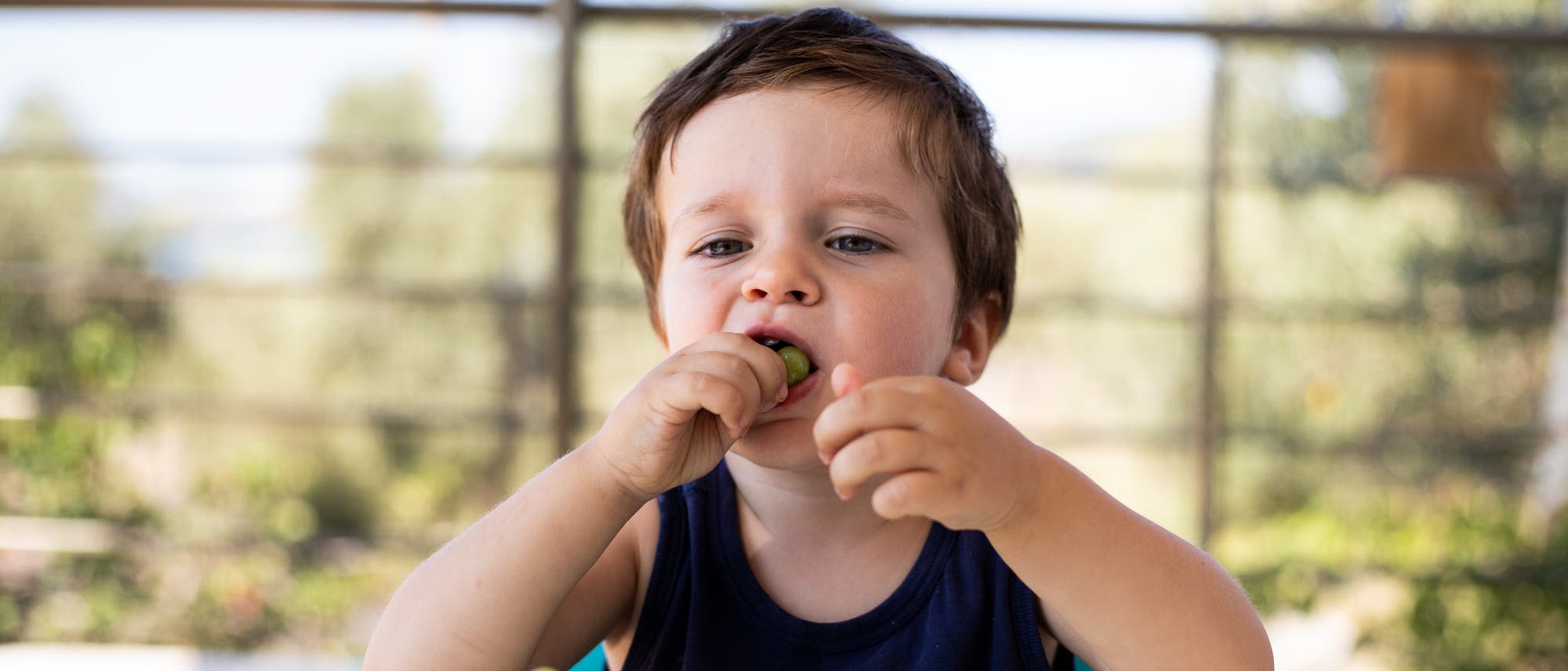 Ein kleiner Junge sitzt vor einem Teller mit Weintrauben und steckt sich eine Traube in den Mund. 