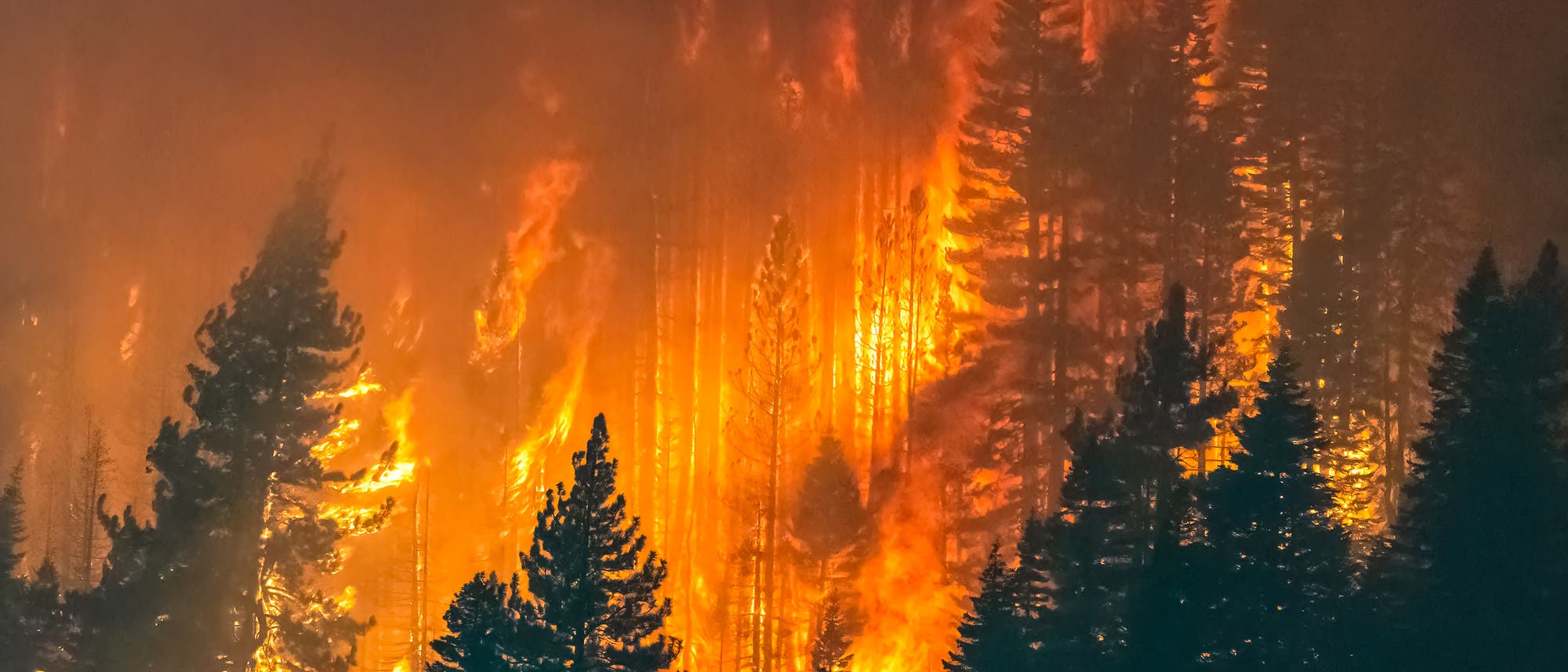 Caldor-Feuer in Kalifornien 2021