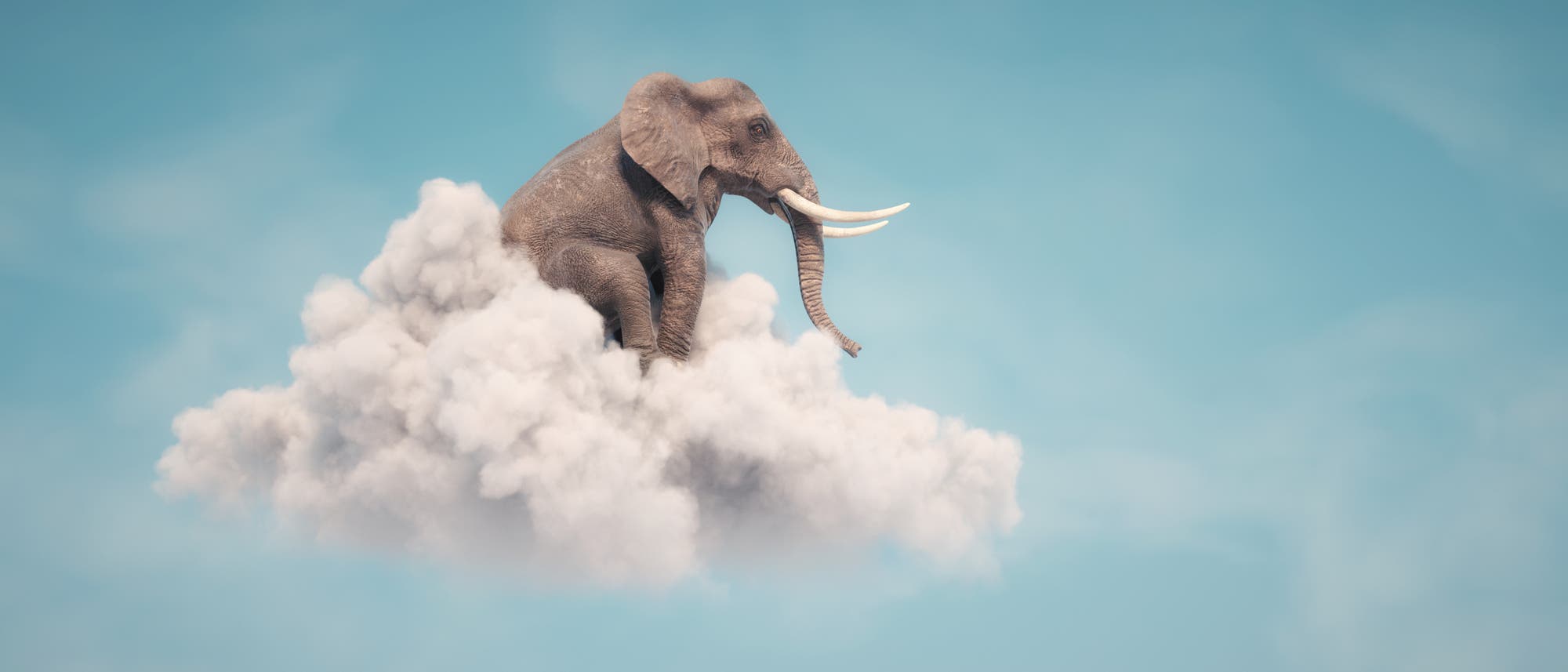Surreales Bild eines Elefanten, der auf einer Wolke sitzt