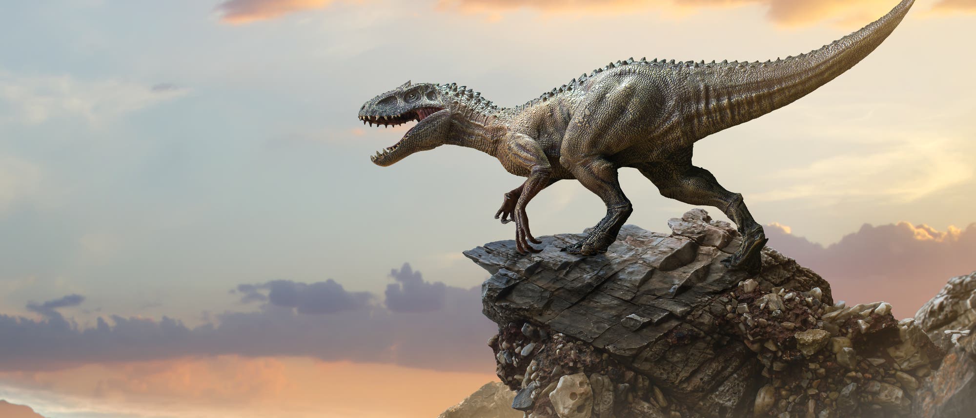 Ein Tyrannosaurus Rex auf dem Gipfel eines Bergfelsens