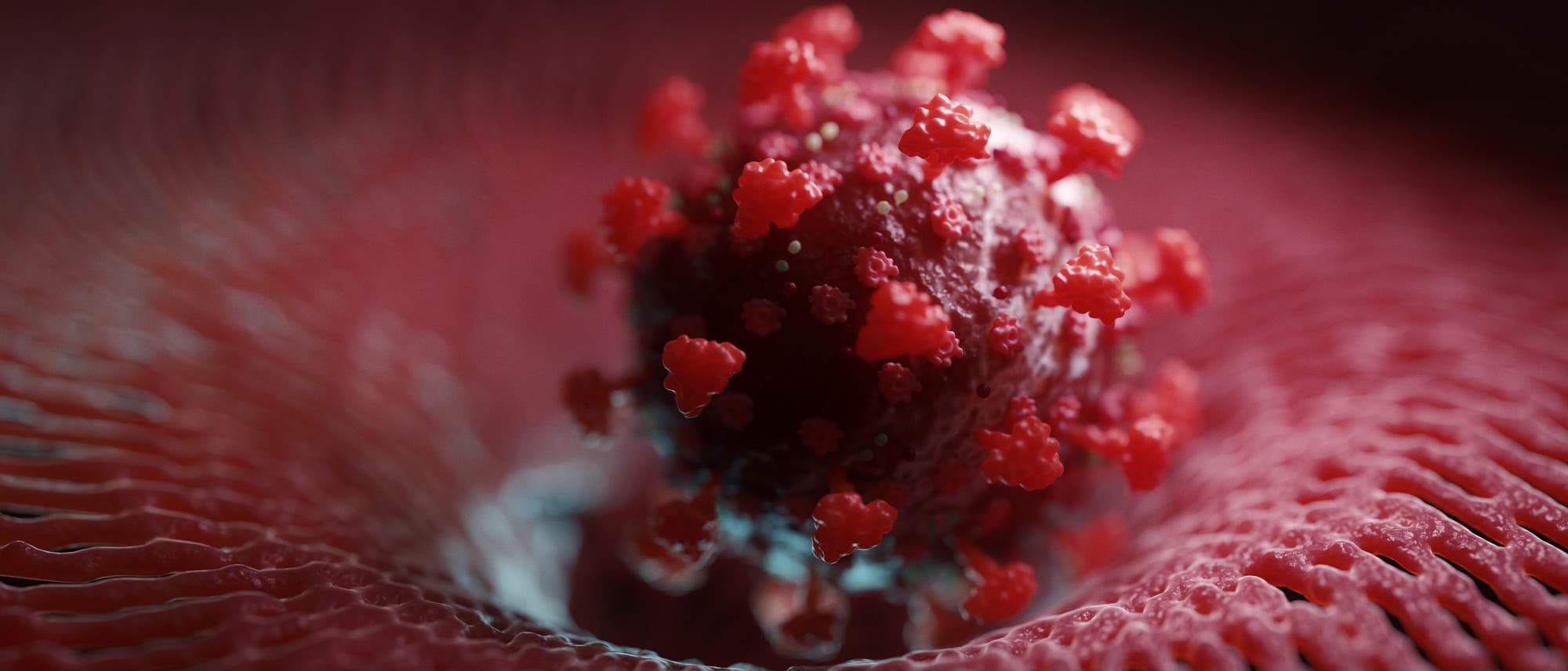 Modell eines Coronavirus, das an eine Oberfläche andockt