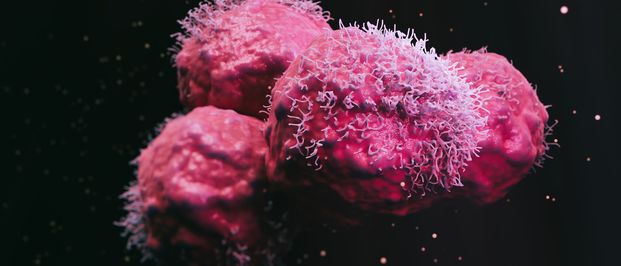Pinke, abstrakte Krebszellen vor schwarzem Hintergrund
