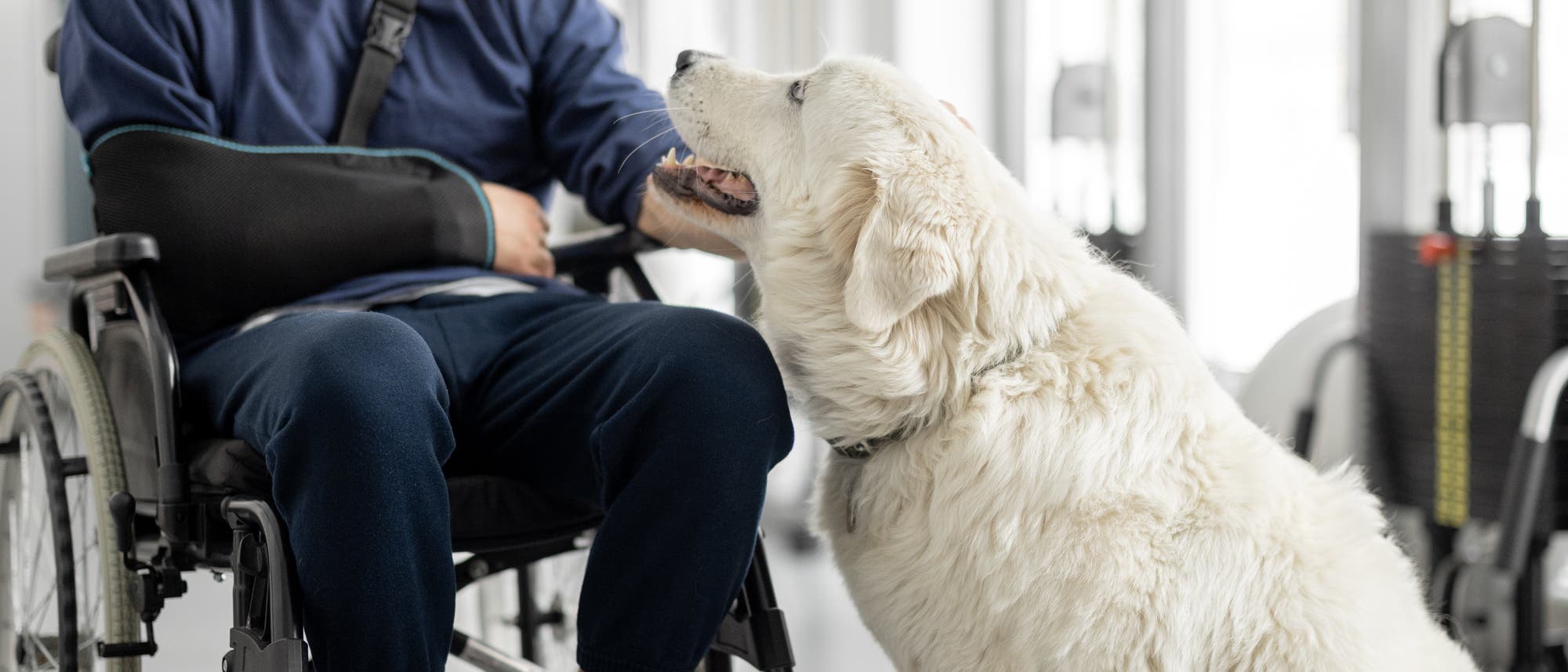 Junger Mann im Rollstuhl mit Hund