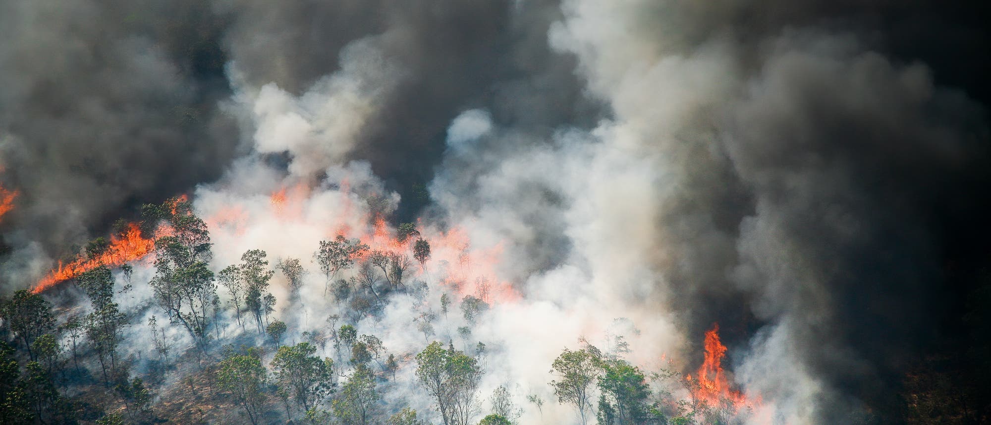 Ein Feuer frisst sich durch geschädigten Wald im Amazonasgebiet. Dichter Rauch steigt auf