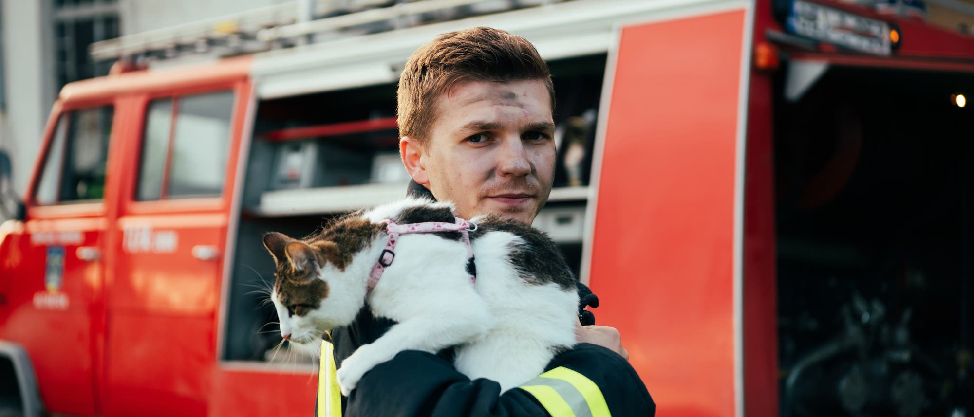 Ein Feuerwehrmann hat Ruß im Gesicht und hält eine Katze im Arm, die er gerettet hat.