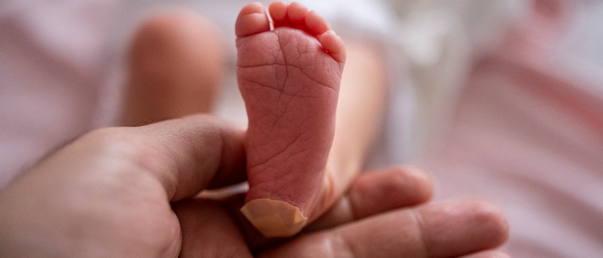 Fuß eines Neugeborenen, der von der Hand eines Mannes gehalten wird Fuß eines Neugeborenen, der von der Hand eines Mannes gehalten wird