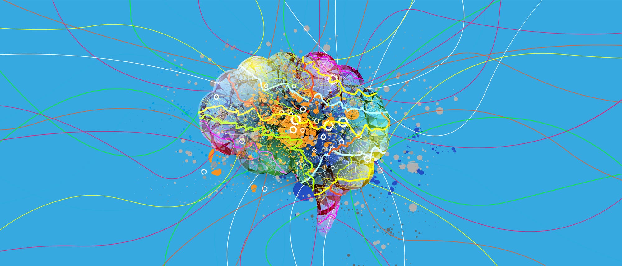 Ein Gehirn mit vielen bunten Farbkleksen