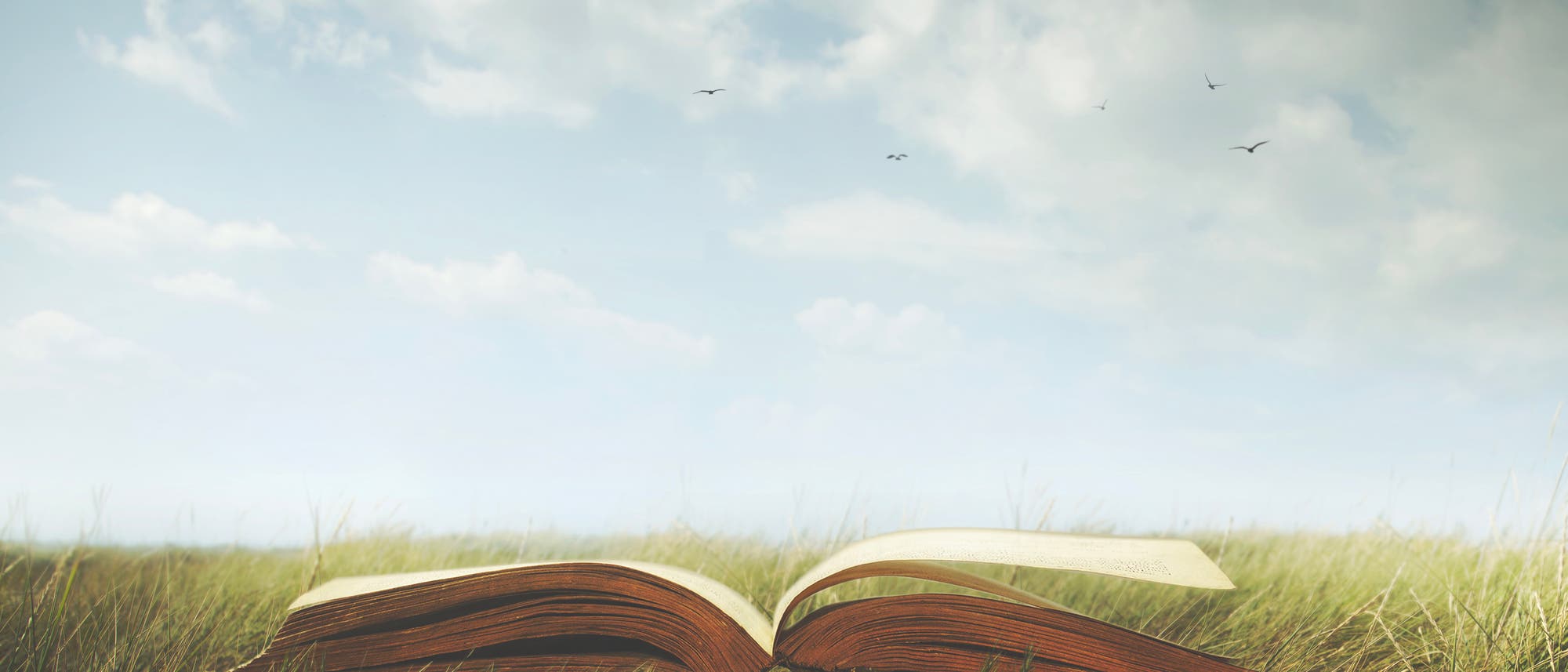 Ein offenes Buch liegt auf einer Wiese, darüber befindet sich der blaue Himmel. Ein offenes Buch liegt auf einer Wiese, darüber befindet sich der blaue Himmel.