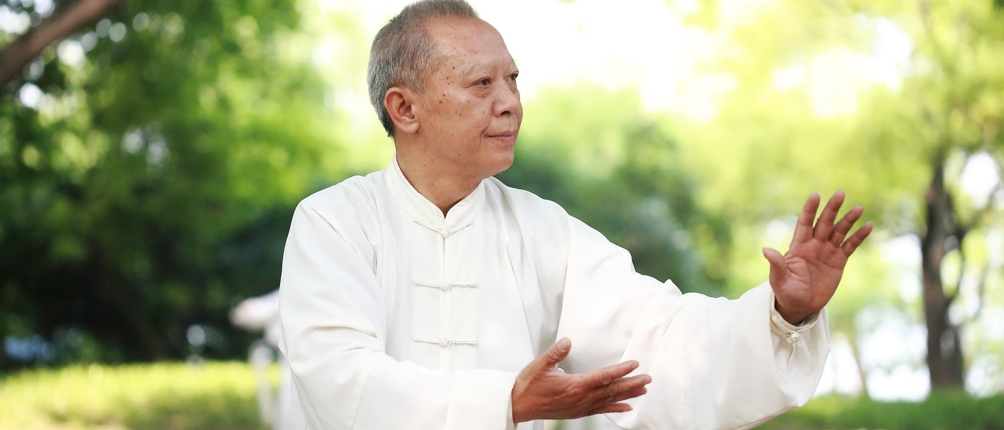 Älterer Asiate praktiziert Tai Chi im Grünen