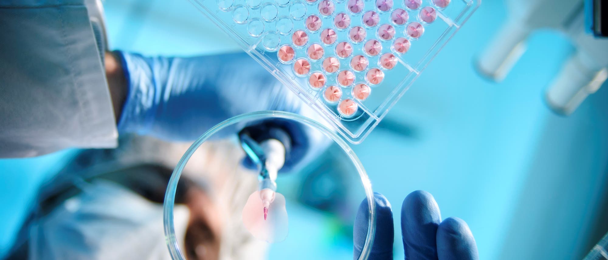 Um neue Medikamente zu entwickeln, sind viele Labortests notwendig