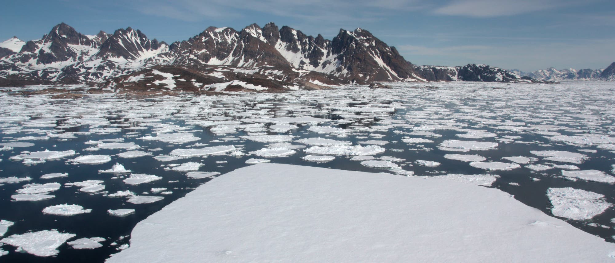 Das Arktiseis im Klimawandel