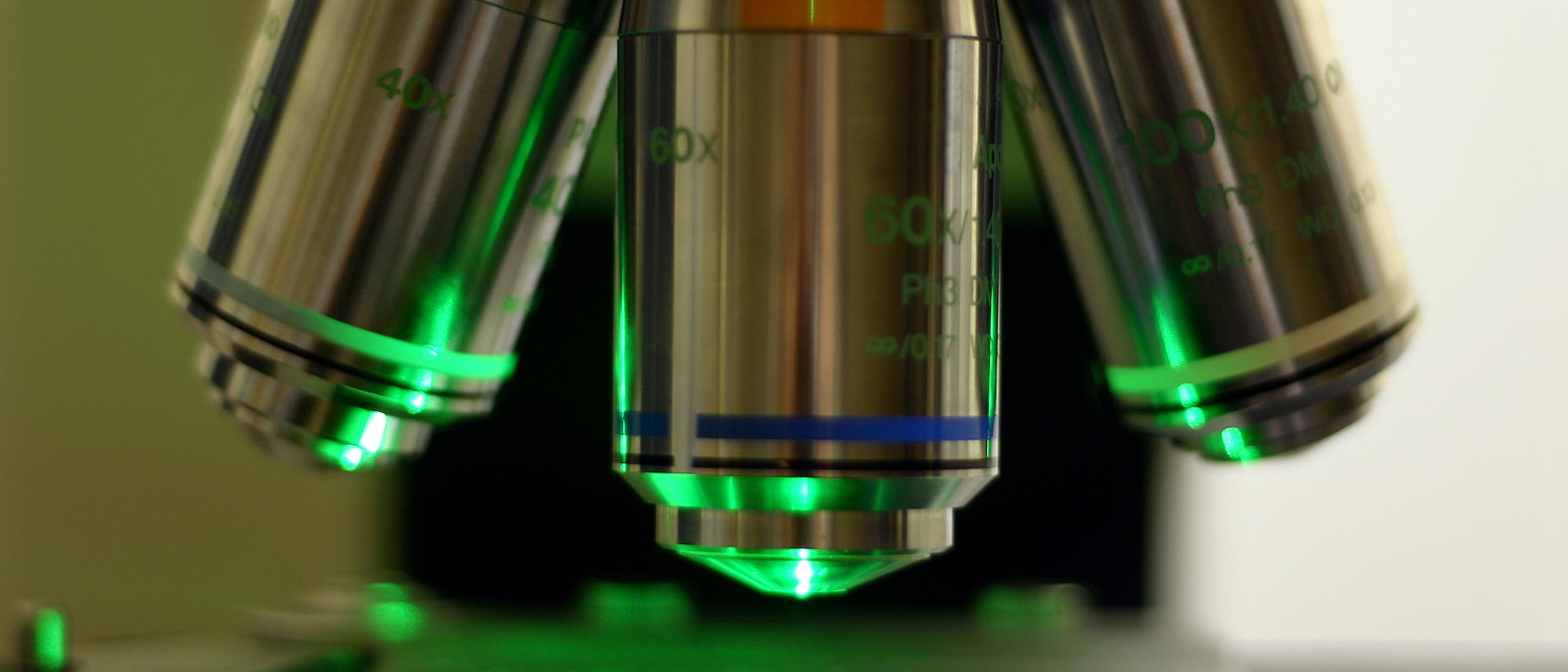 Fluoreszenz-Mikroskop mit Objektträger