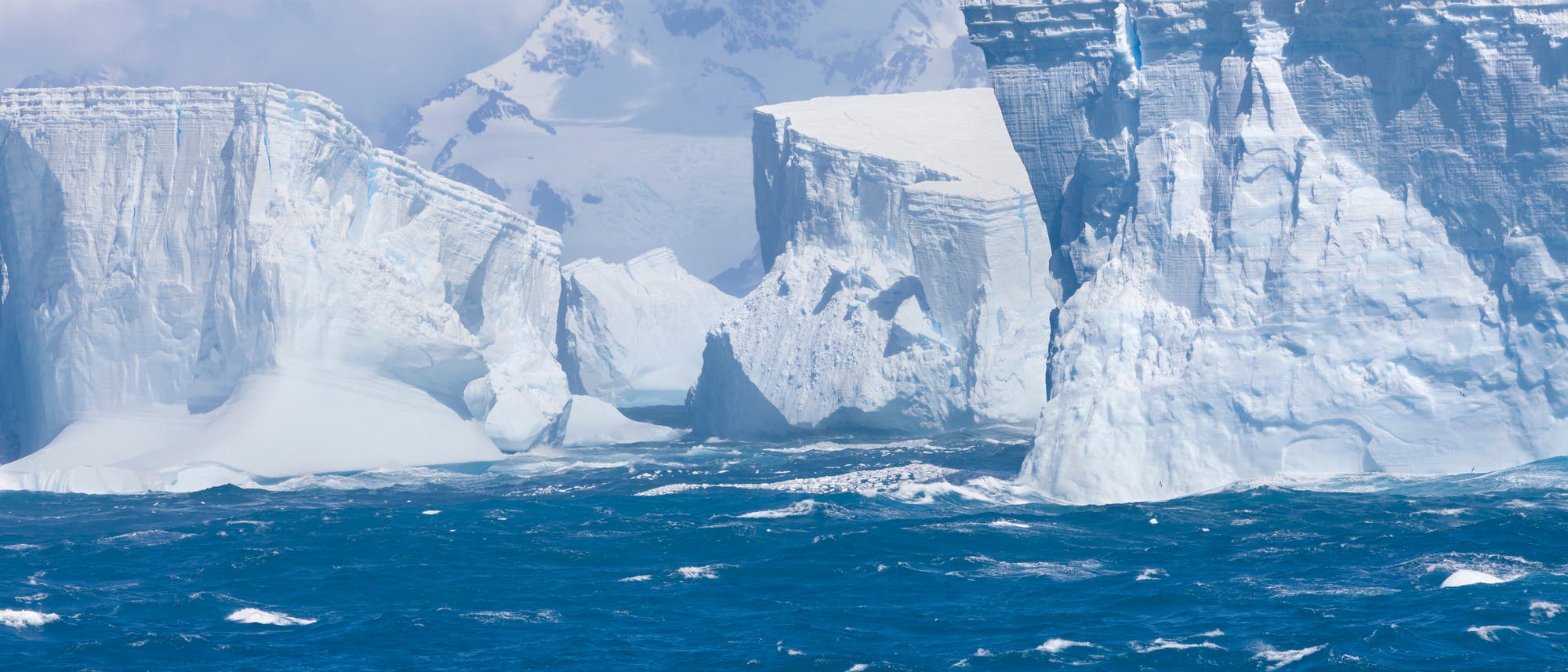Mehrere große Eisberge mit einer bergigen Küste im Hintergrund.