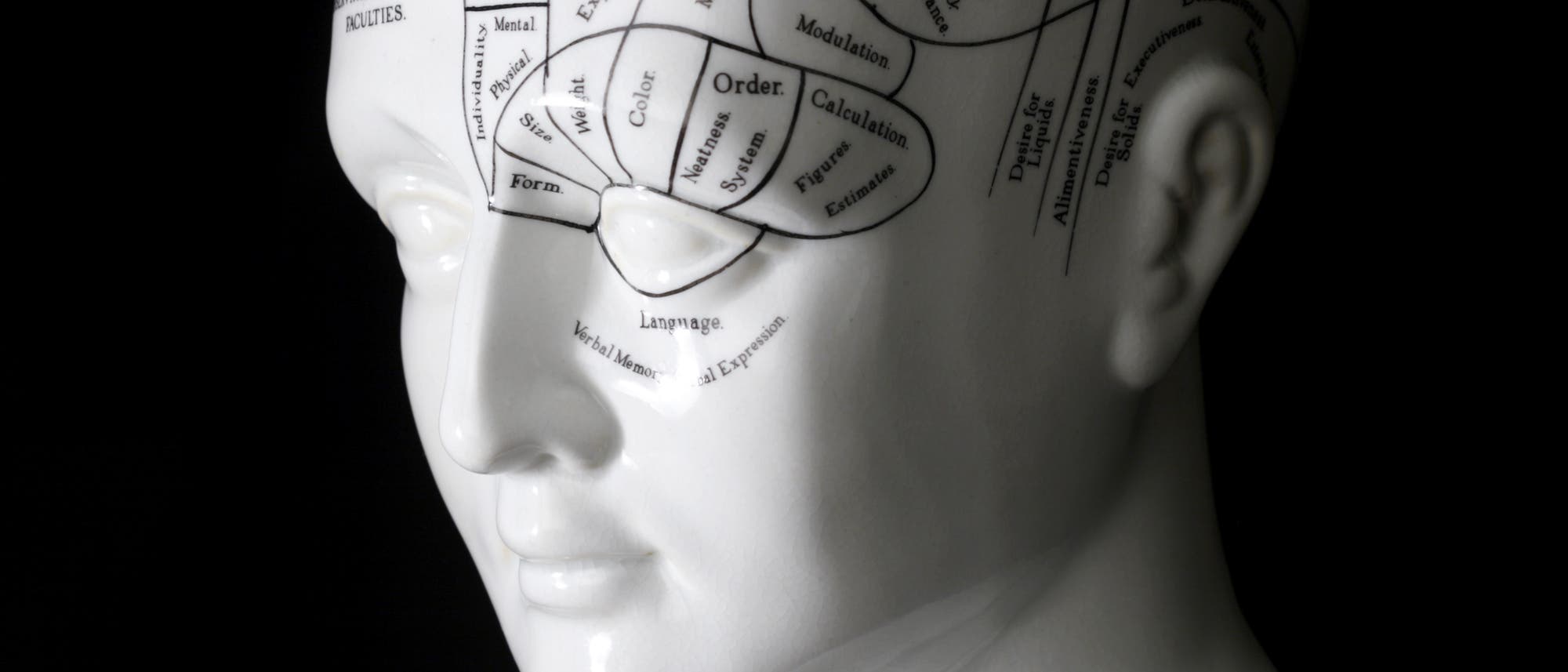 Kopf mit Beschriftung für phrenologische Studien