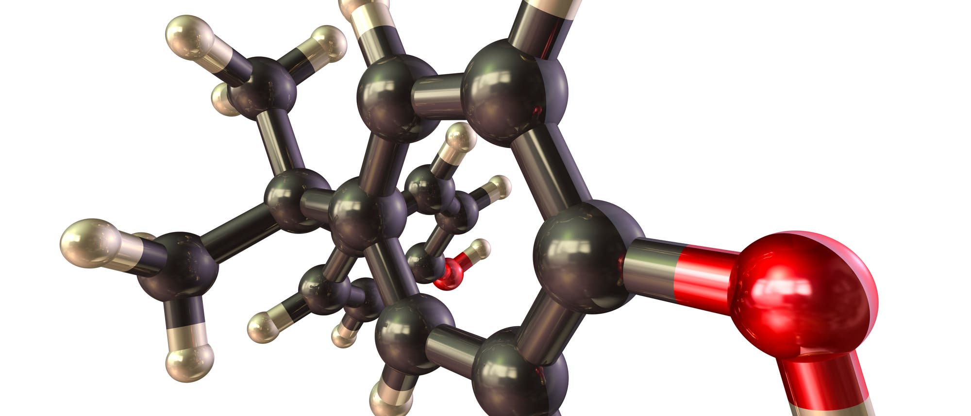 Ein Kalottenmodell der Molekülstruktur von Bisphenol