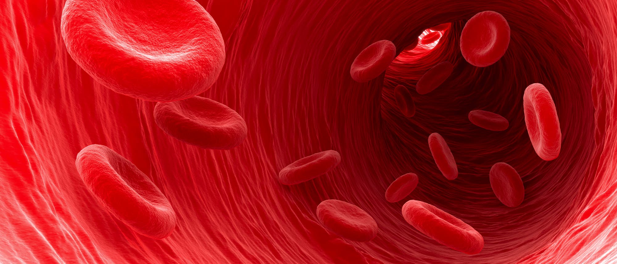 Blutzellen in einem Blutgefäß