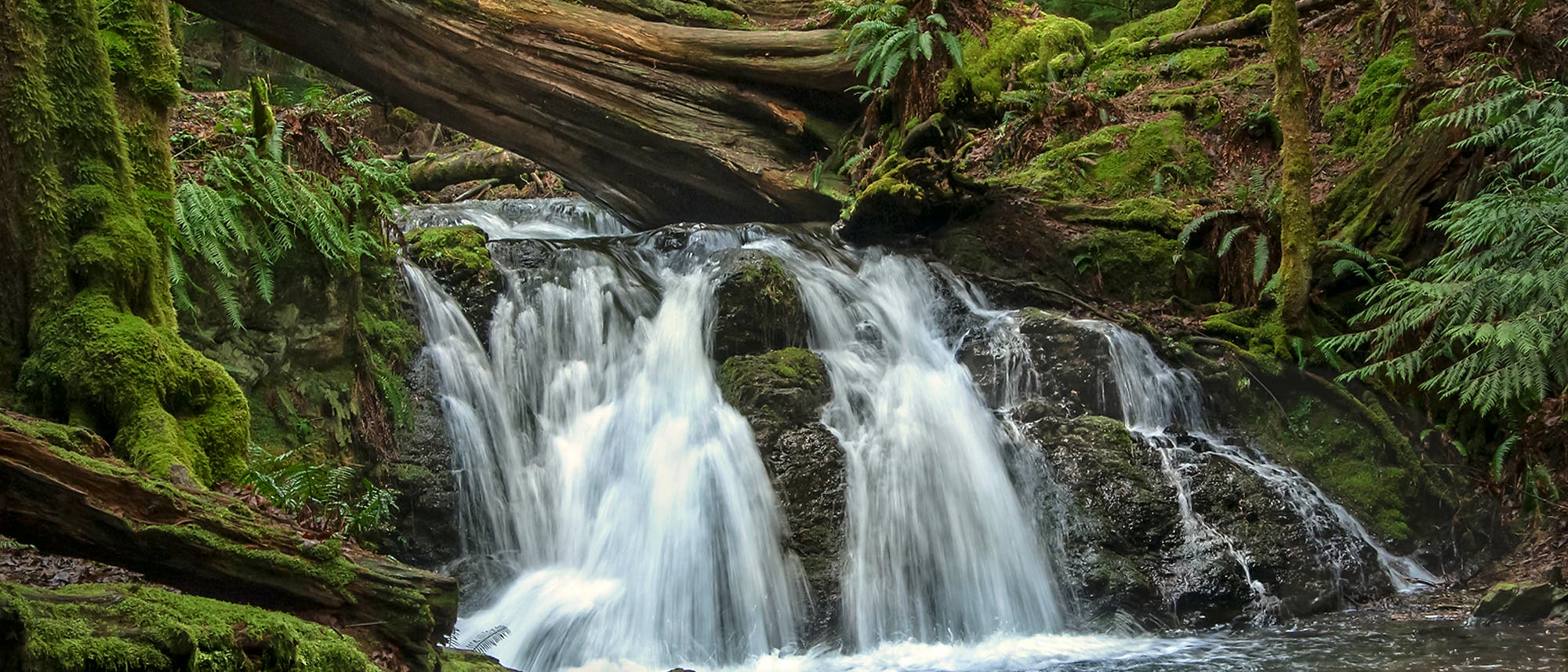 Wasserfall im Moran State Park, USA