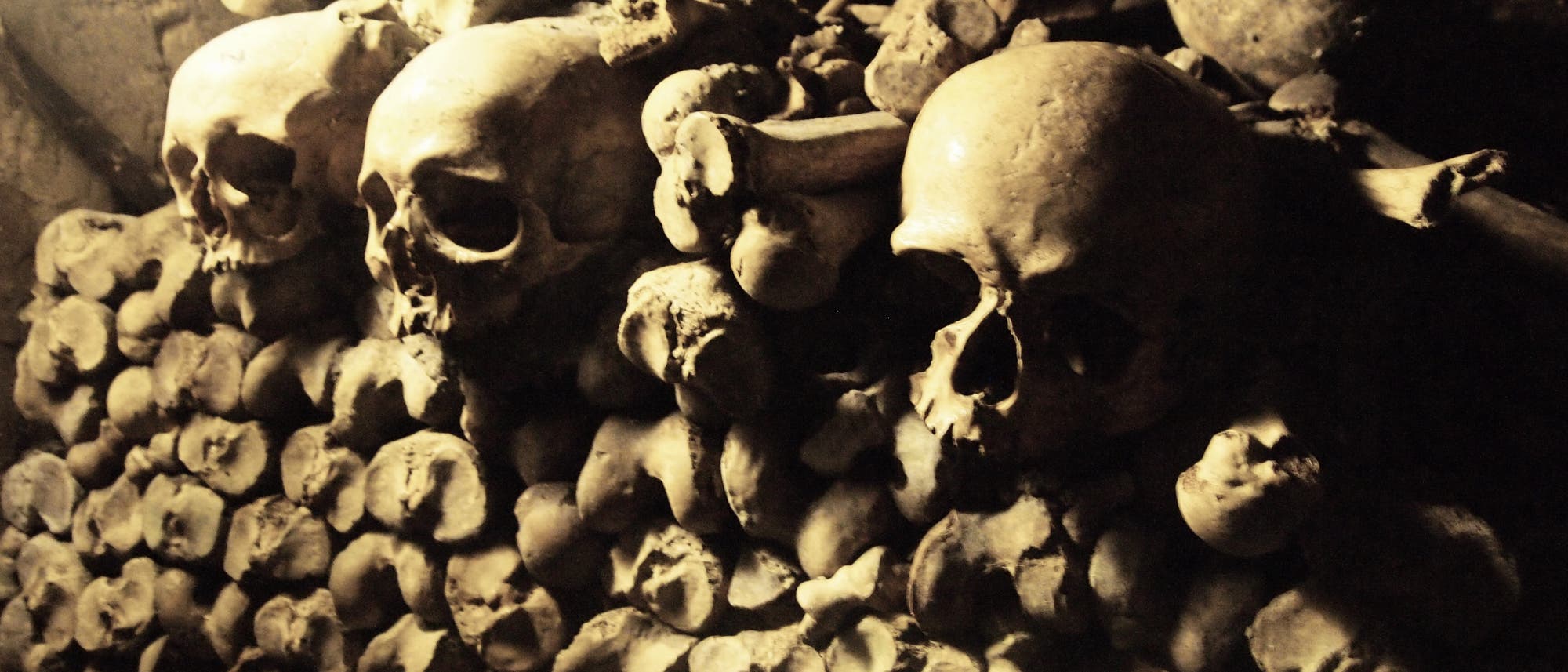 Mehrere Schädel in einer Reihe, in einem Beinhaus mit Opfern der Pest in Paris.