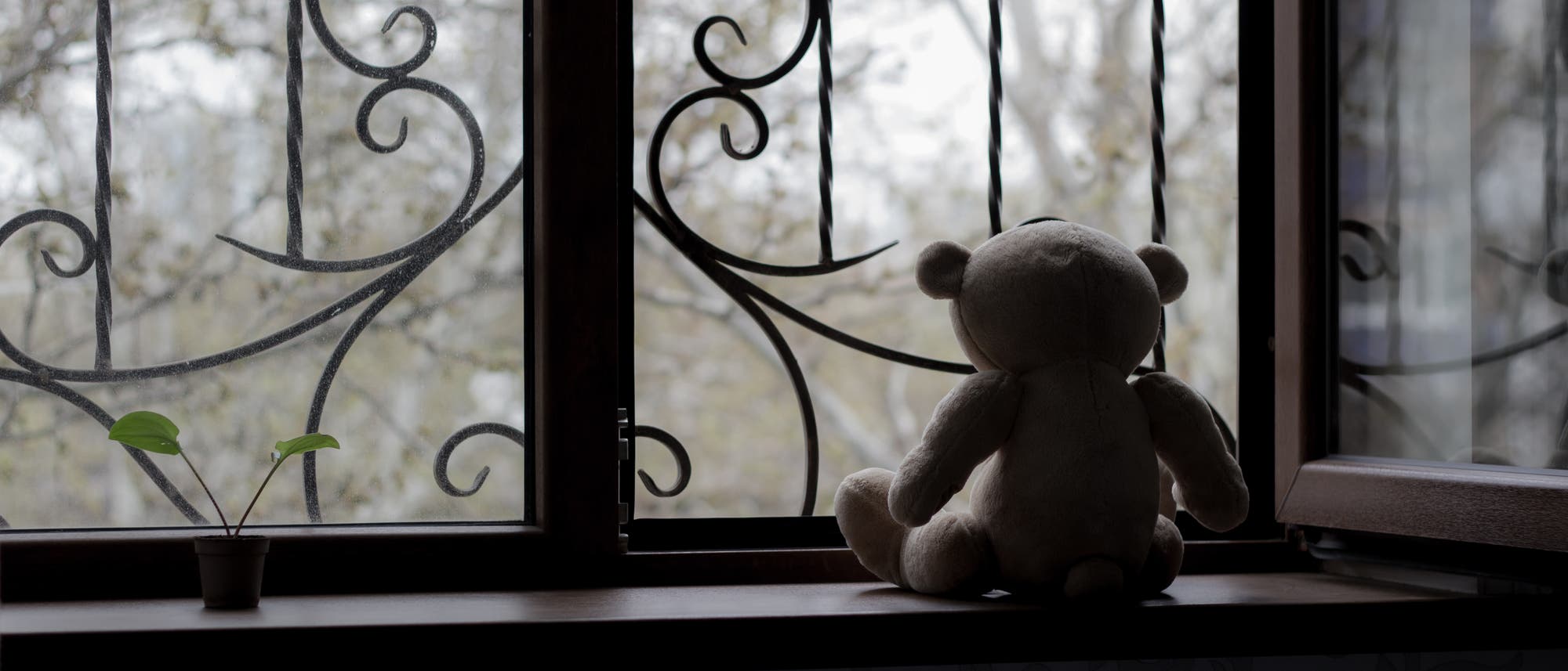 Teddybär sitzt am Fenster mit tristem Ausblick