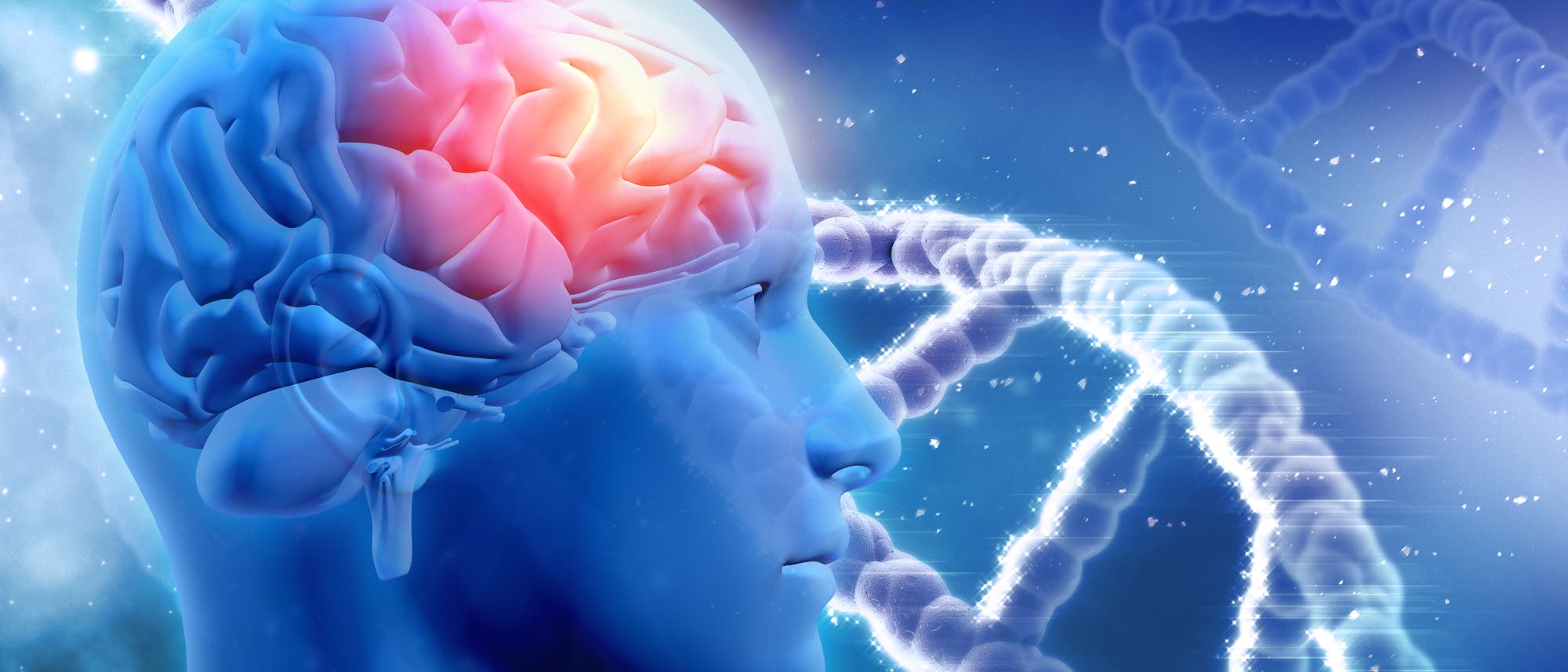 Ein männlicher Kopf mit Gehirn, daneben eine DNA-Helix