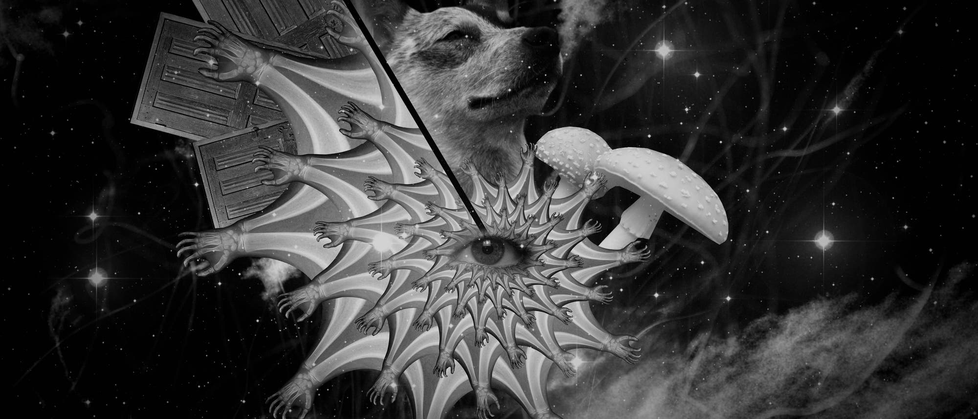 Schwarz-Weiß-Collage aus Pilzen, Auge, Tier und Türen, die eine psychedelische Erfahrung symbolisieren