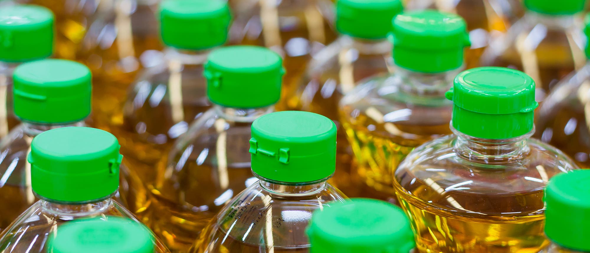 Das Öl aus Rapspflanzen schmeckt leicht nussig und gilt als »Öl der Wahl«, wie es die Fachleute der Deutschen Gesellschaft für Ernährung formulieren.