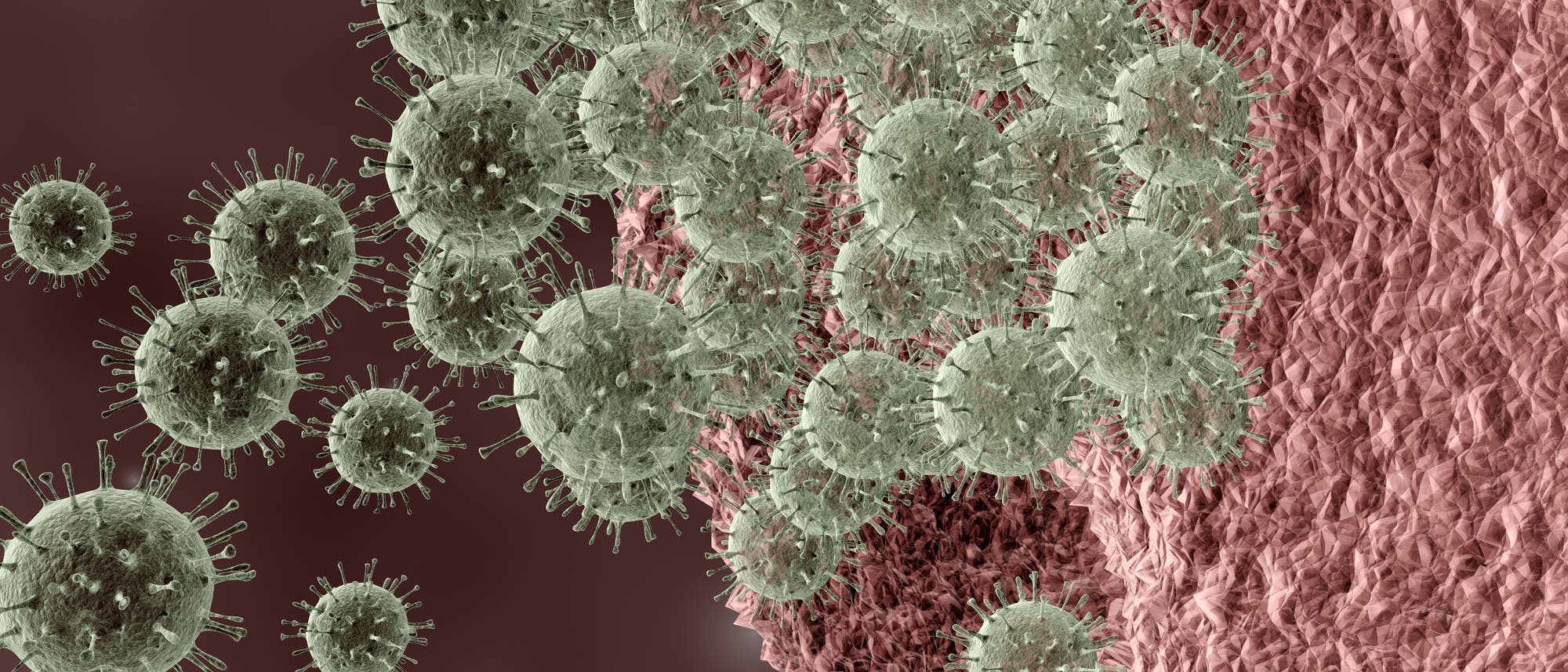 Ein Cluster von Virionen attackiert eine Zelle.