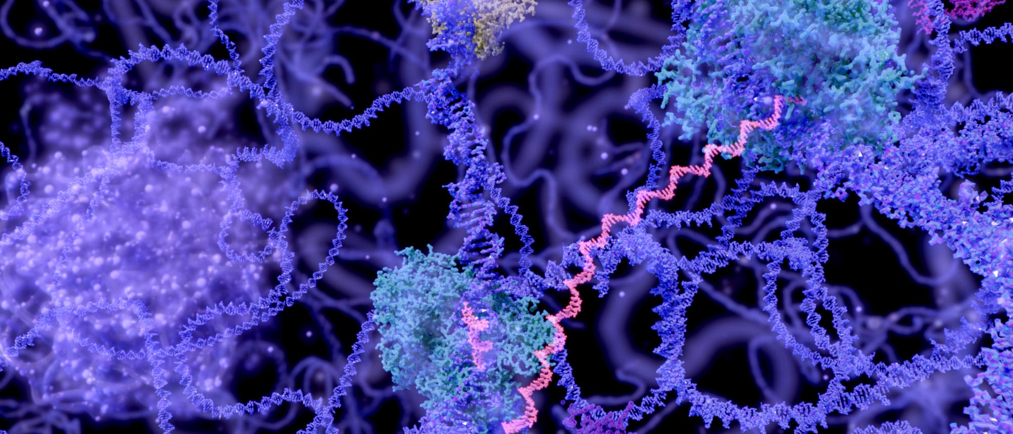 RNA im Zellkern