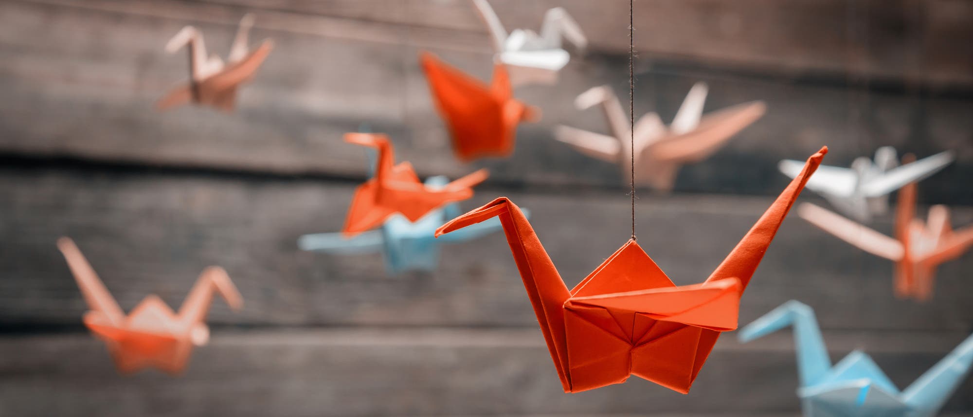 Bunte Origami-Kraniche