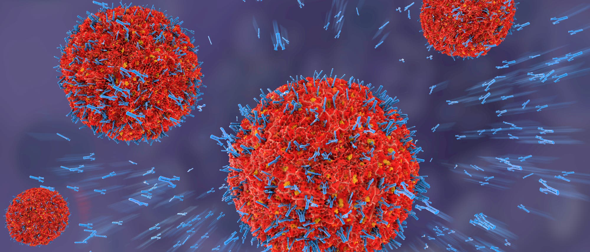 Antikörper binden an Virus