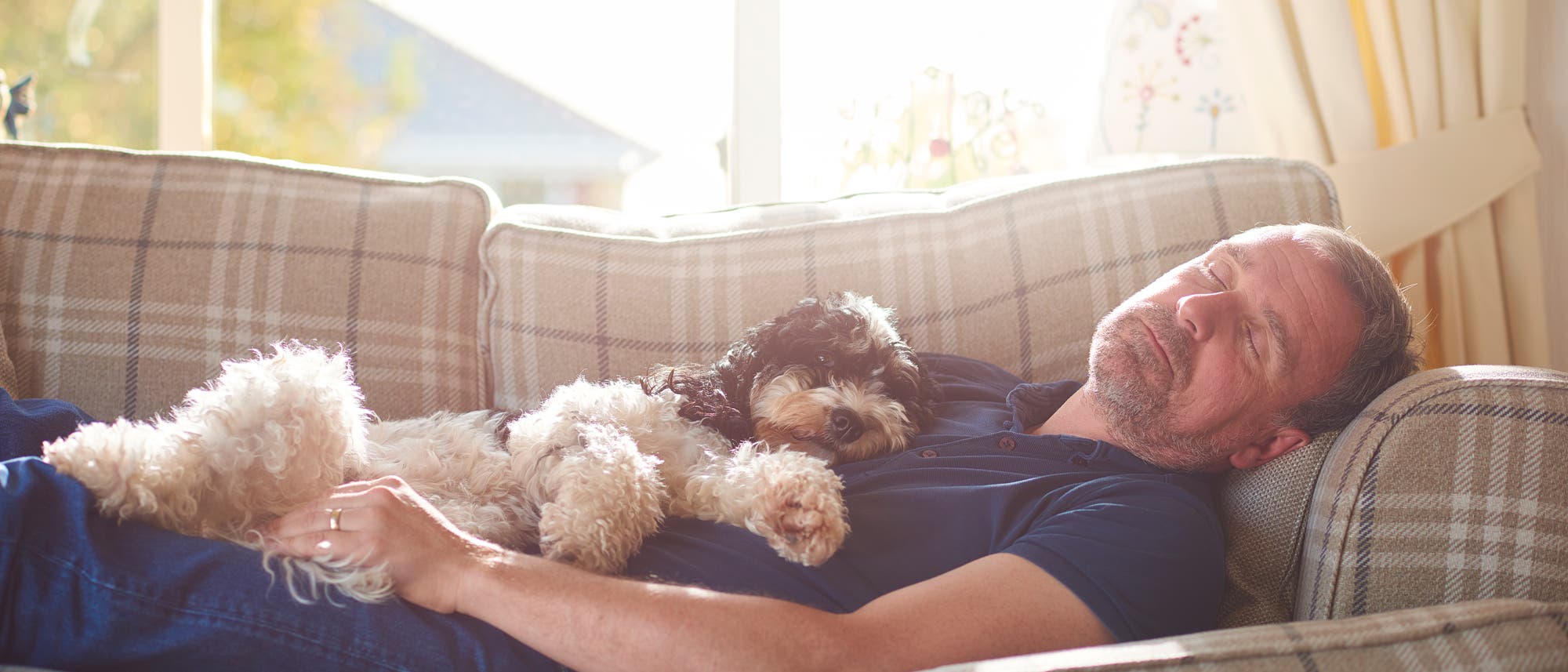 Ein Mann mittleren Alters hält mit seinem Hund Nickerchen auf dem Sofa