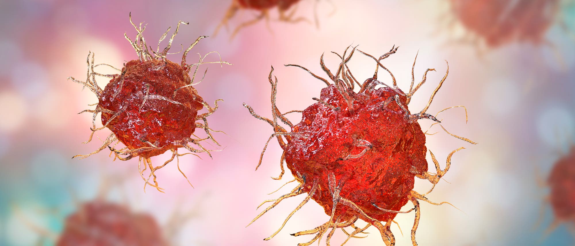 El sistema inmunológico: así es como las células inmunes encuentran su objetivo