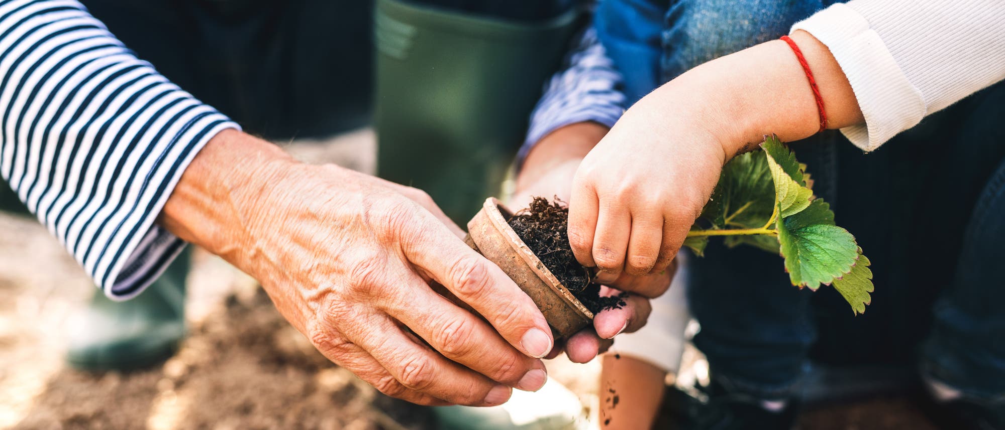 Älterer Mensch hilft Kind beim Gärtnern