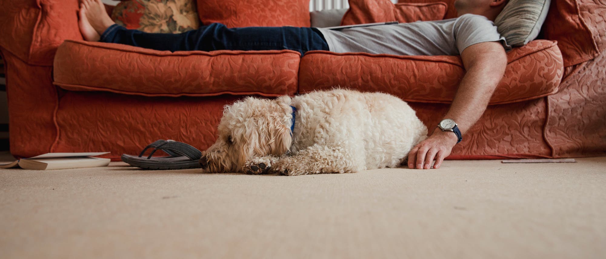 Schlafender Mann auf Sofa mit Hund davor