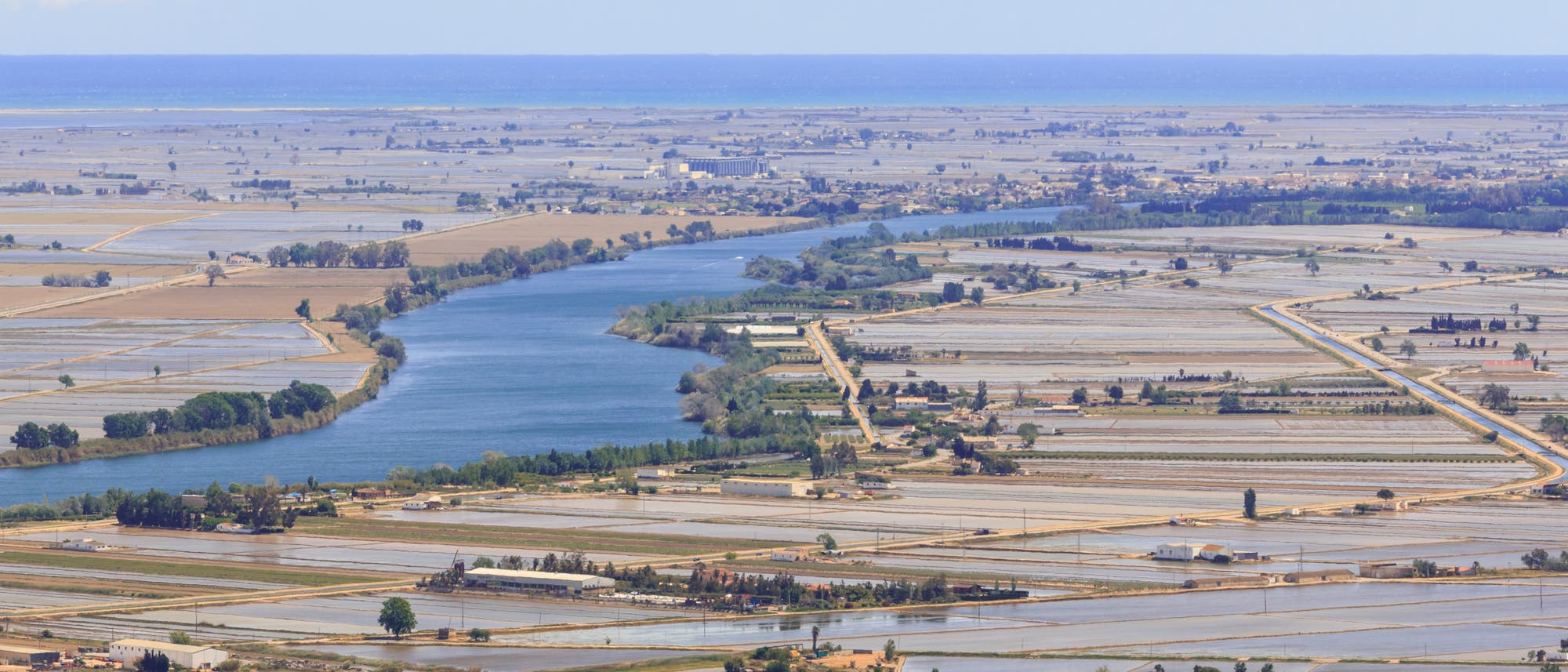 Überflutete Reisfelder im Ebro-Delta