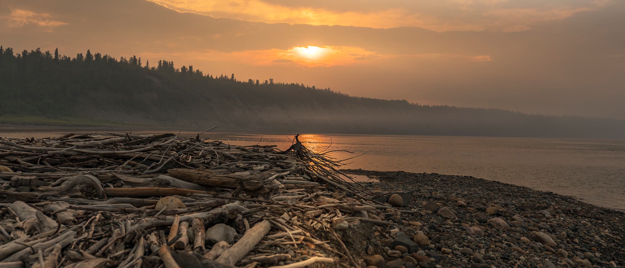 Holz treibt im Mackenzie-Fluss und sammelt sich an seinem Ufer.