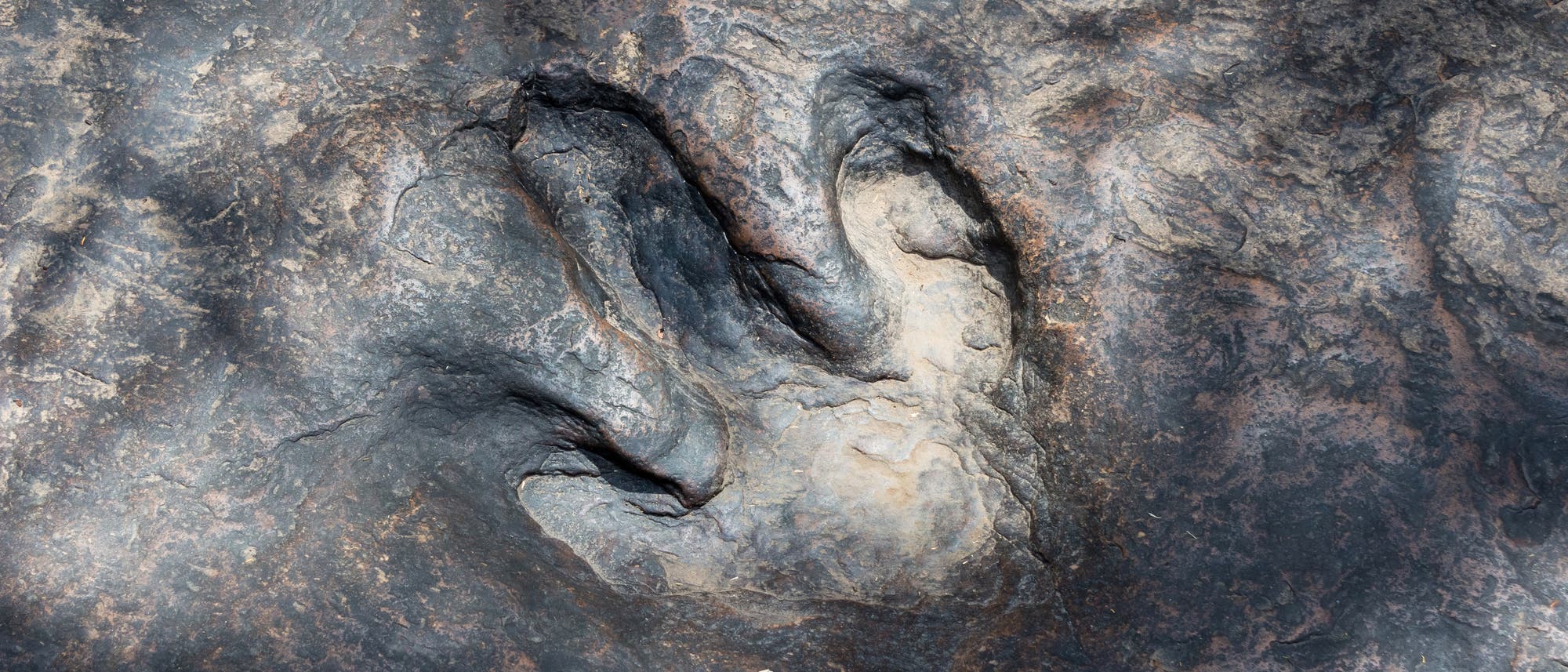 Dinosaurier-Fußabdruck aus Thailand (Symbolbild)