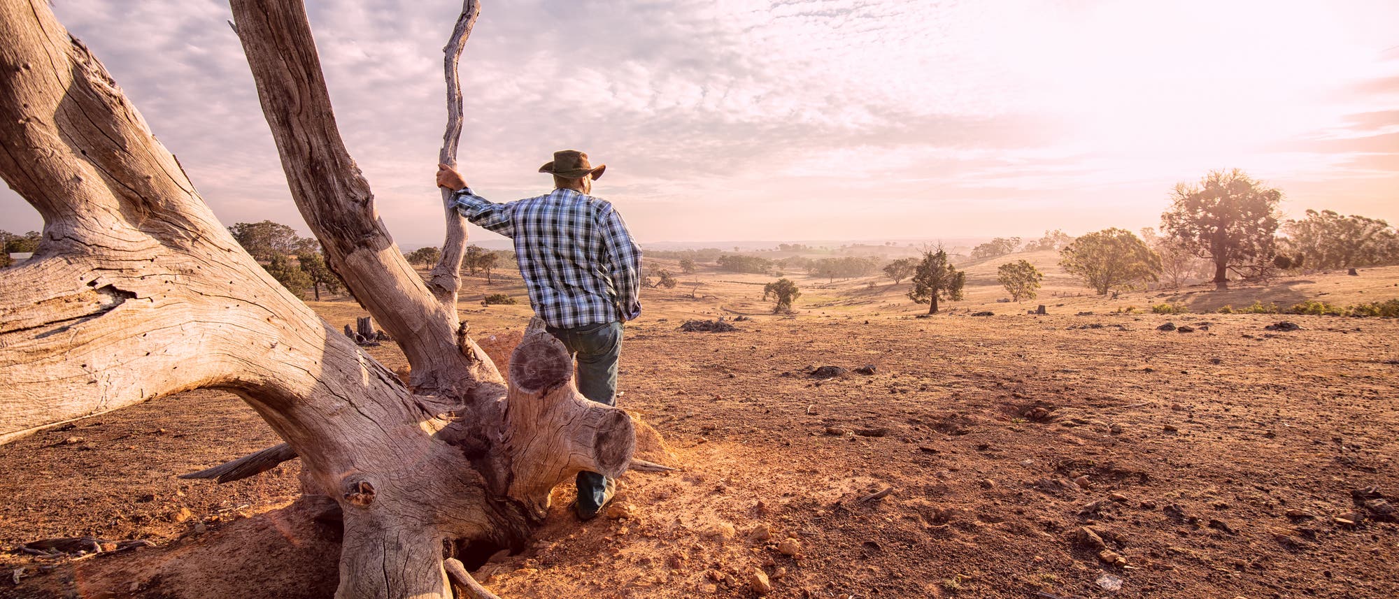Australischer Landwirt blickt auf das von Dürre geplagte Land während der Sommer- und Feuersaison.