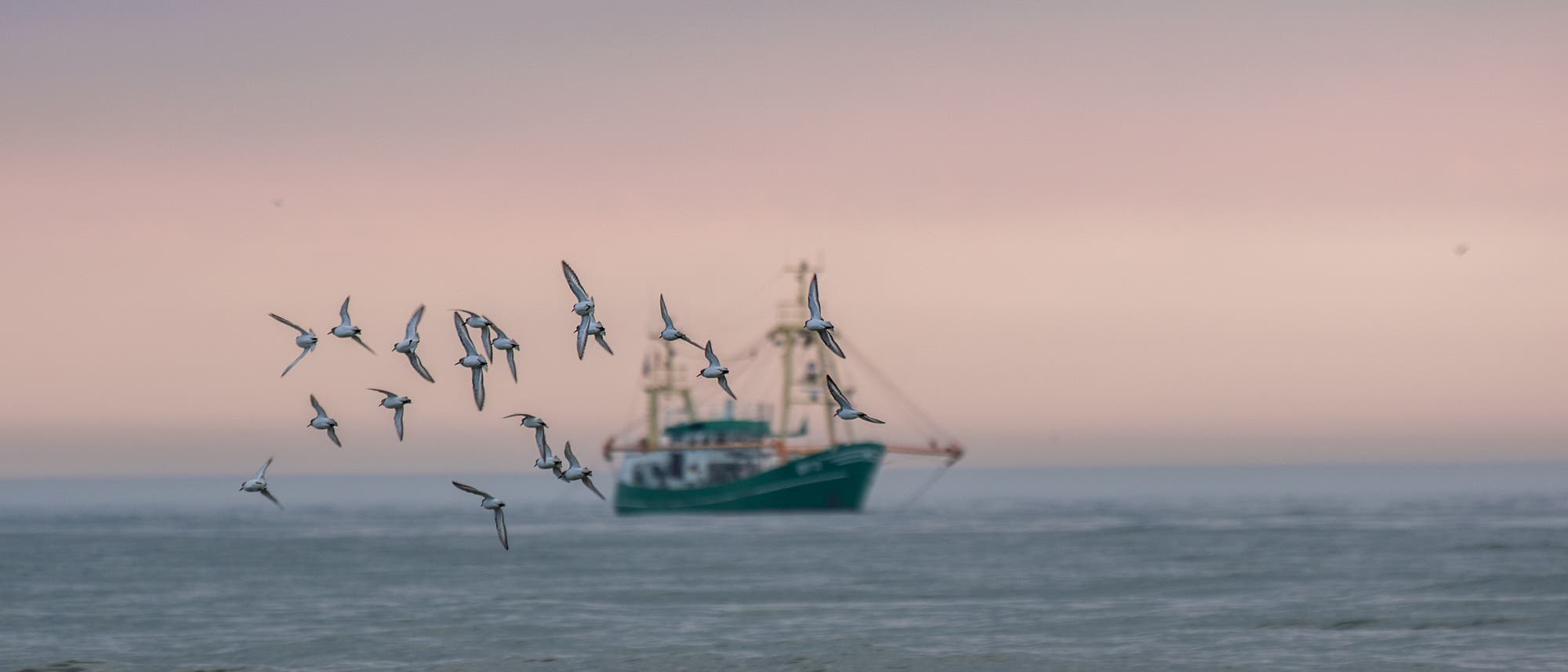 Fischer in der Nordsee dürfen künftig deutlich weniger fangen, damit die Bestände sicher sind.