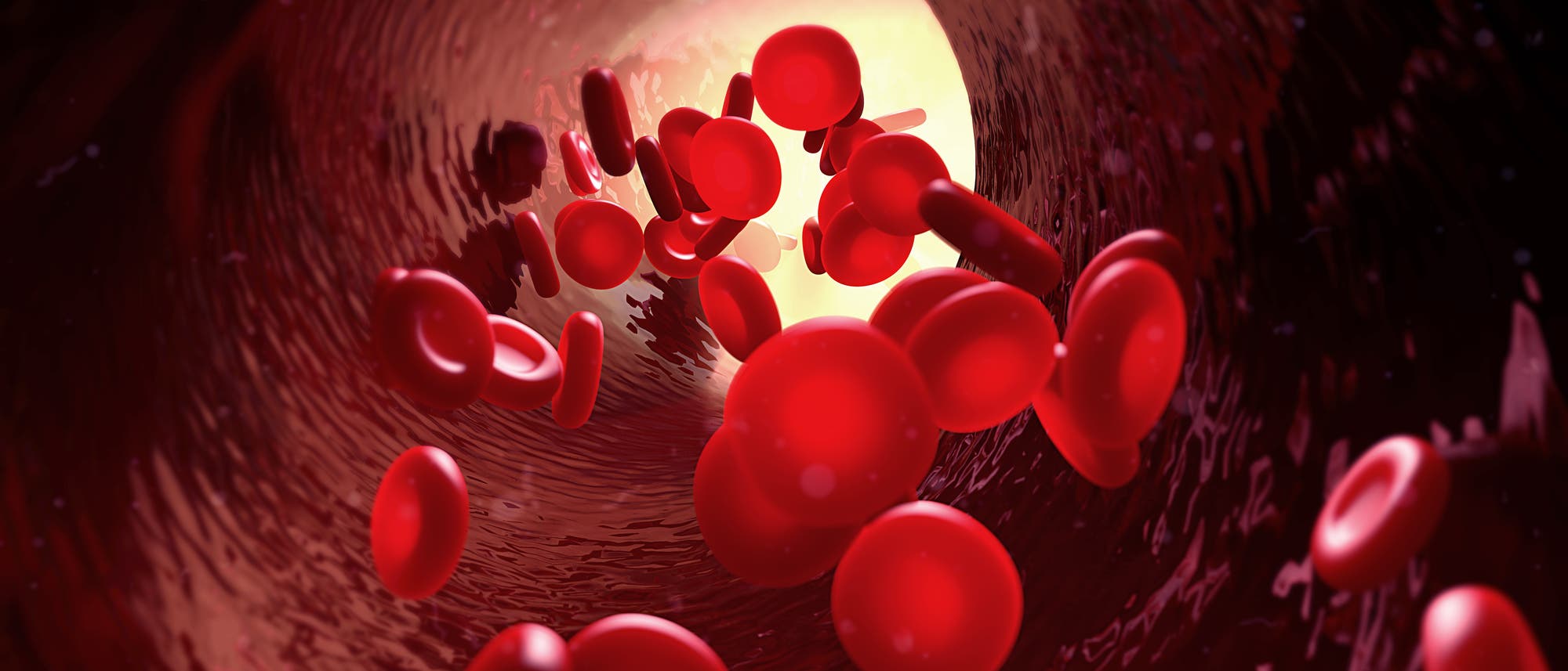 Rote Blutkörperchen in Blutbahn
