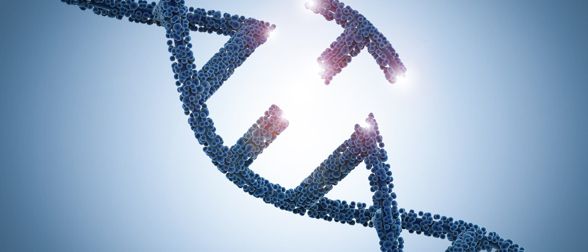 Teil der DNA wird eingepasst oder ausgeschnitten Teil der DNA wird eingepasst oder ausgeschnitten