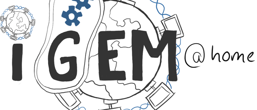Logo von iGEM@home