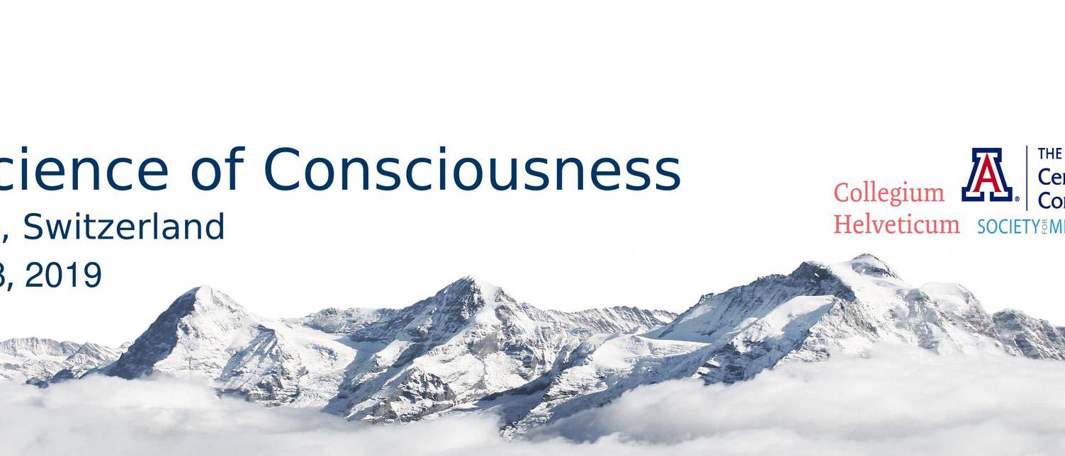 Konferenz The Science of Consciousness 2019